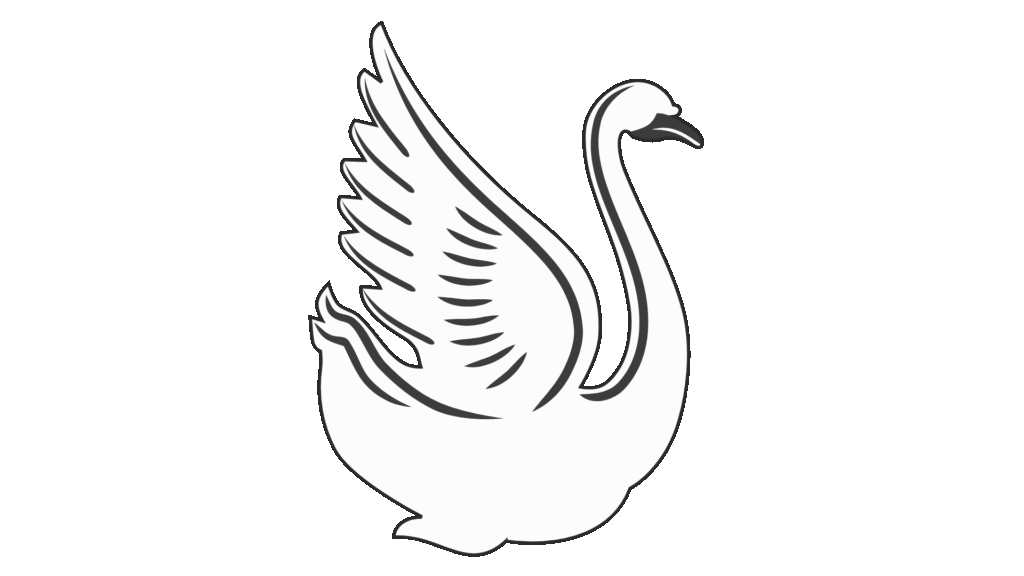 Cisne branco simbolizando a transformação e a beleza que emergem do processo de cura da ansiedade através da terapia e do autoconhecimento.